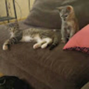 Meet your Posher, Alicia